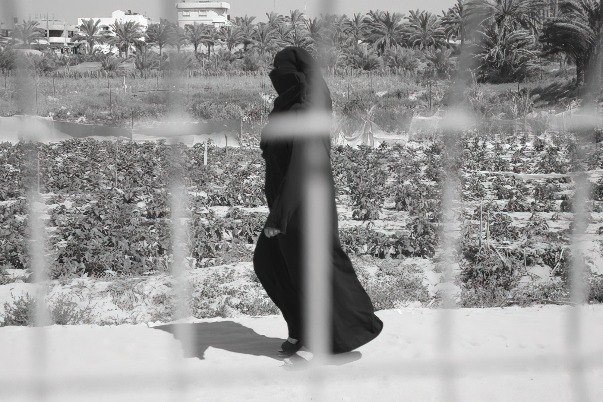 Robed figure walking a track past cultivated fields and palms, seen through a wire fence — street photograph by Hamudi Leon