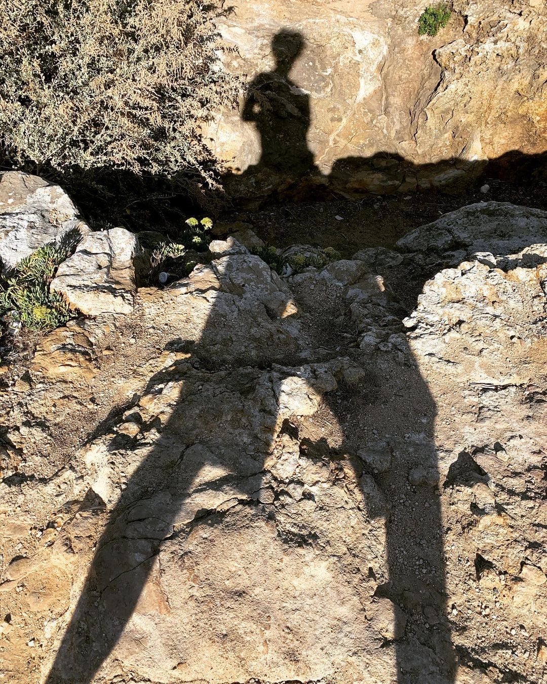 Shadow of a standing person cast across sunlit rock and scrub — street photograph by Hamudi Leon
